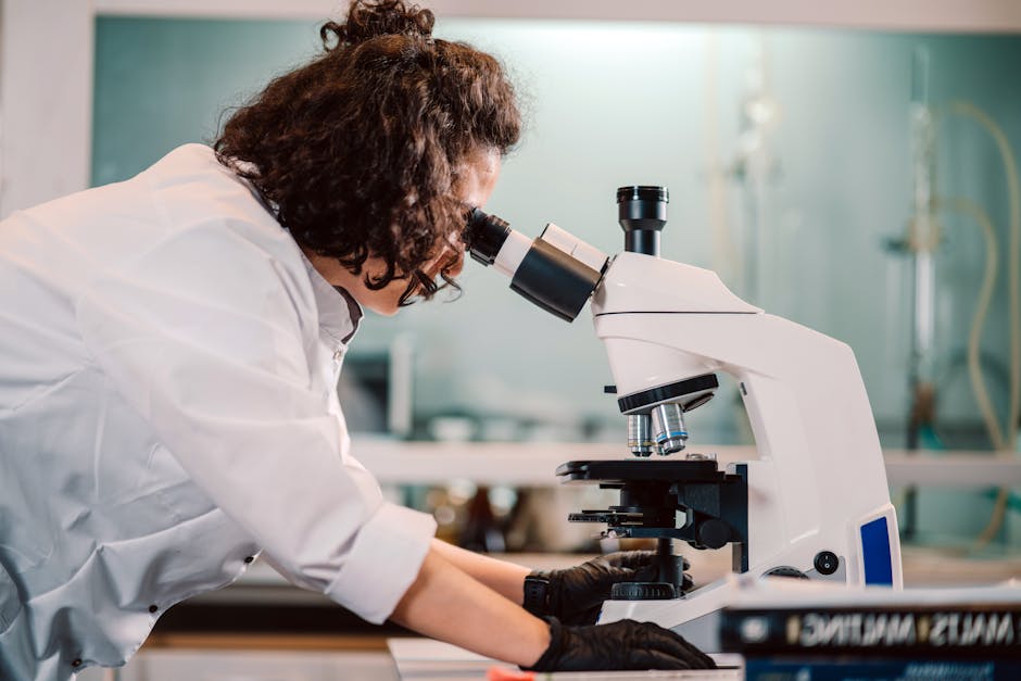 Top 10 Inventions That Changed History