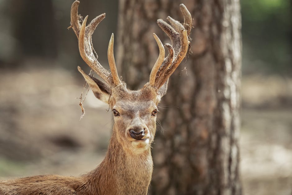 Top 10 Animals With Weird Abilities