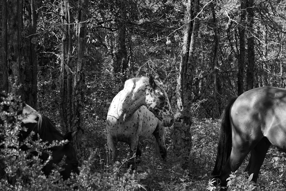 Did You Know? 12 Facts About Horses