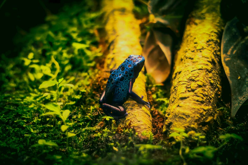 Top 10 Most Poisonous Creatures