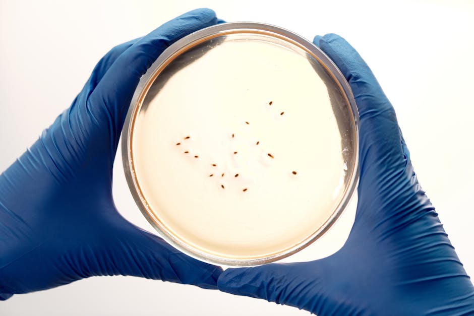 Did You Know? 10 Facts About Cloning