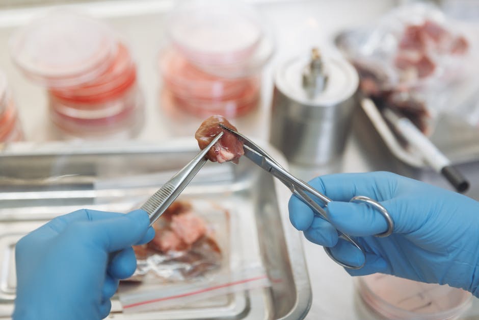 Did You Know? 12 Facts About the Human Heart