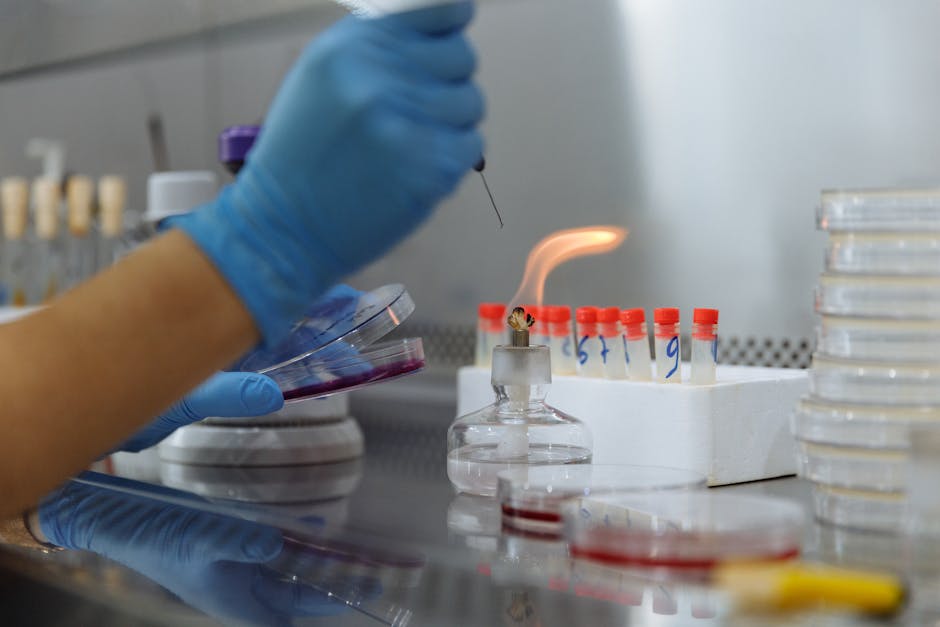 Top 10 Facts About Microbiology