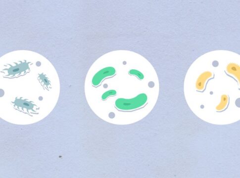 Why Tardigrades Survive in Space: The Science Explained — Odd Science/Facts trivia by Trivia Daily