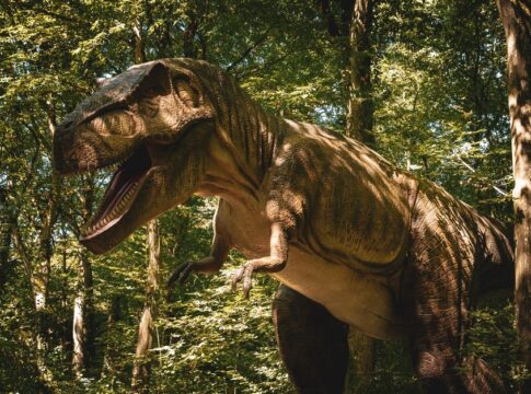 Why Sharks Existed Before Trees: The Surprising Timeline — Odd Science/Facts trivia by Trivia Daily