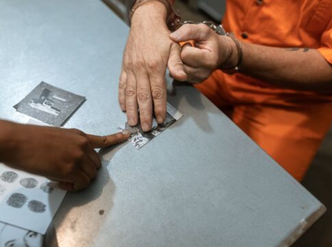 7 Surprising Facts About How Fingerprints Form — General trivia by Trivia Daily