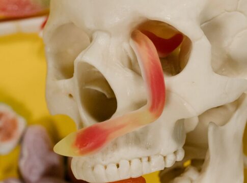 7 Bizarre Facts About How Your Stomach Digests Food — Odd Science/Facts trivia by Trivia Daily