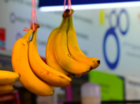 Why Banana Flavor Tastes Fake: The Extinct Fruit Story — General trivia by TriviaOwl