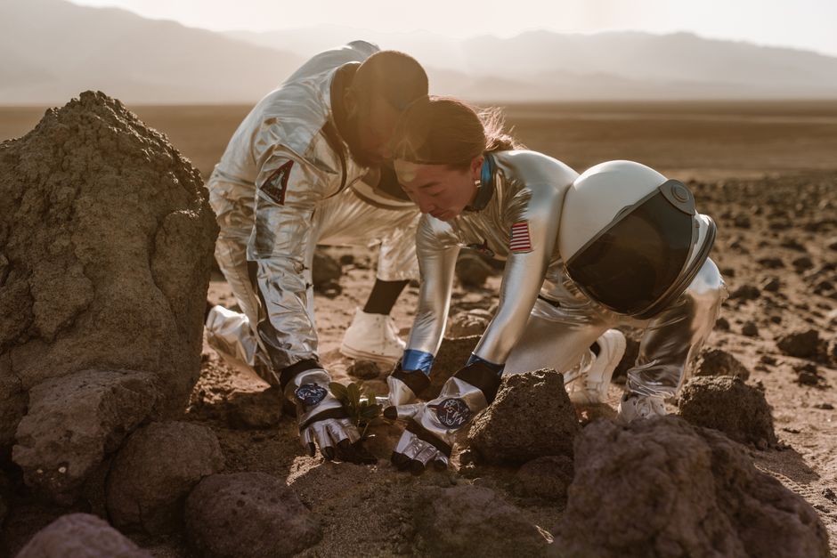 7 Strange Facts About Tardigrades Surviving Space