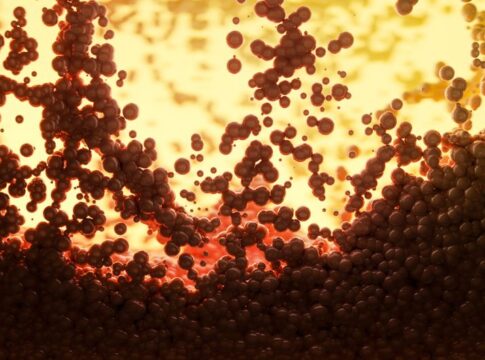How Many Atoms Are in a Human Body: The Stunning Count — Odd Science/Facts trivia by Trivia Daily