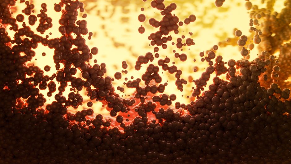 How Many Atoms Are in a Human Body: The Stunning Count