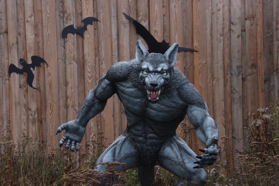Werewolf Legend Origins: 7 Real Medical Conditions