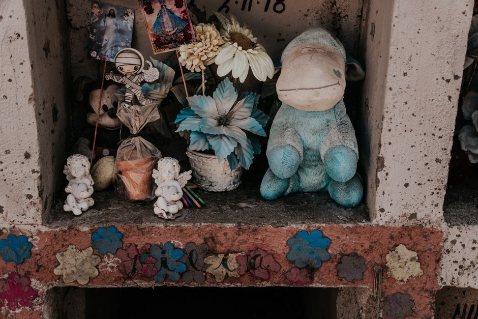 Elephant Memory: How They Mourn Their Dead for Years