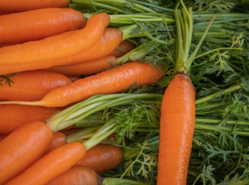 The Truth About Carrots Improving Night Vision: WWII Myth — General trivia by Trivia Daily