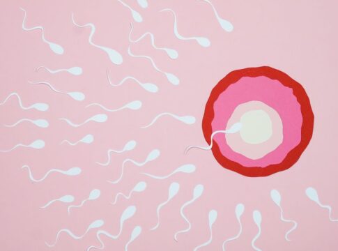 The Loudest Animal on Earth: Sperm Whale Clicks Explained — Animals trivia by Trivia Daily