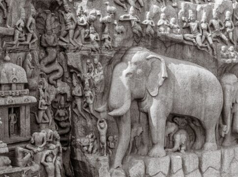 Cyclops Myth: What Elephant Skulls Started the Legend — Myths & Legends trivia by Trivia Daily