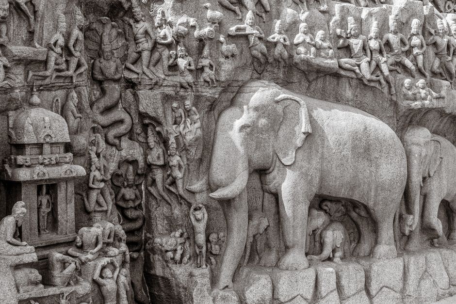 Cyclops Myth: What Elephant Skulls Started the Legend