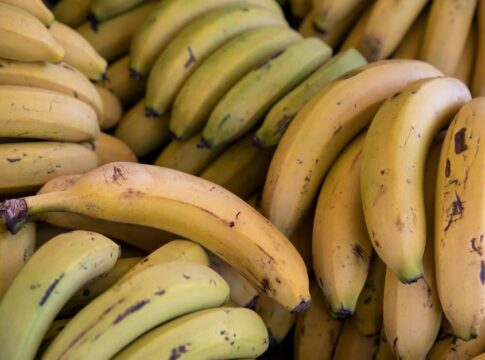 7 Strange Facts About Bananas Being Radioactive Fruit — Odd Science/Facts trivia by Trivia Daily