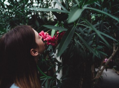 9 Strange Facts About Corpse Flowers Smelling Like Death — Odd Science/Facts trivia by Trivia Daily