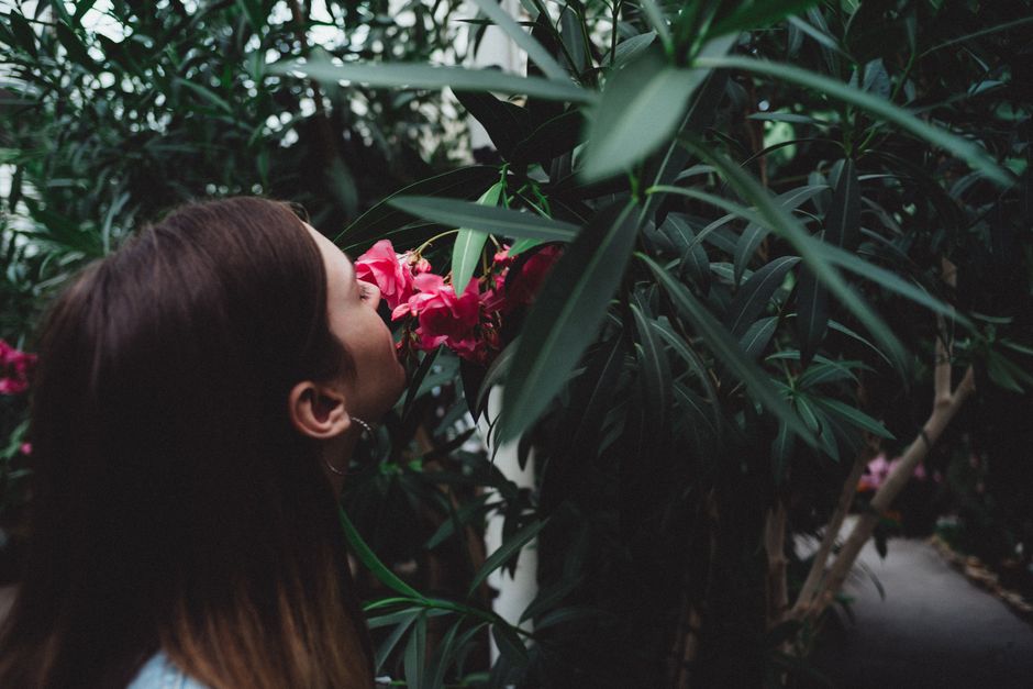 9 Strange Facts About Corpse Flowers Smelling Like Death