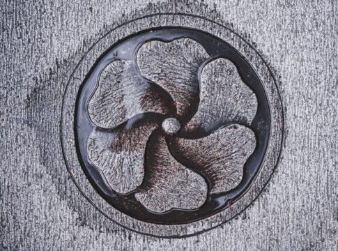 Why Water Swirls Differently Down Drains Worldwide — Odd Science/Facts trivia by Trivia Daily
