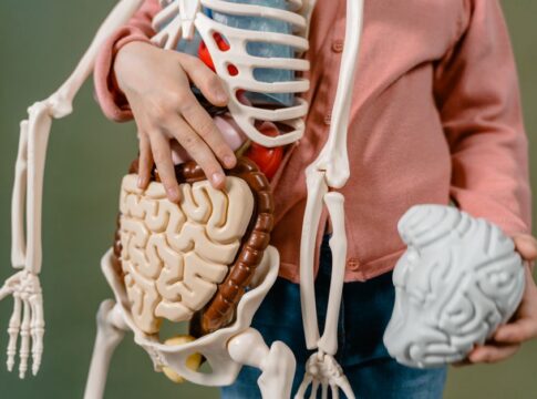 Did Humans Really Only Use 10 Percent of Their Brains — Odd Science/Facts trivia by Trivia Daily