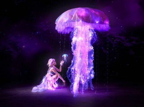 7 Strange Facts About Immortal Jellyfish Reversing Age — Odd Science/Facts trivia by Trivia Daily