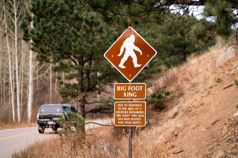 Bigfoot Sightings Explained: What Science Says Really Happened