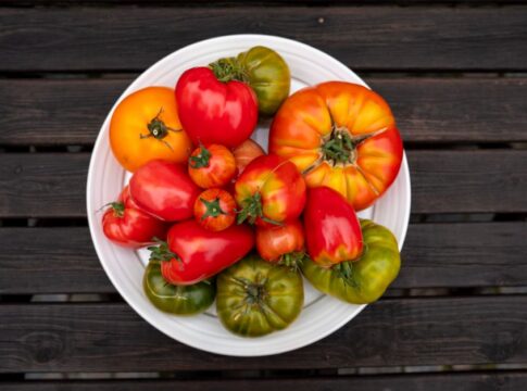 Why Tomatoes Were Once Feared as Poisonous in Europe — General trivia by Trivia Daily