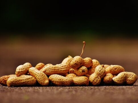 The Hidden Story of Peanuts Actually Being Legumes — Odd Science/Facts trivia by Trivia Daily